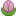 tulip symbol Emoticons Secretos do Facebook